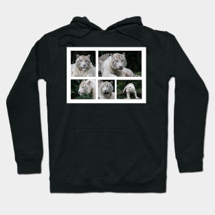 White Tiger Beauty Hoodie